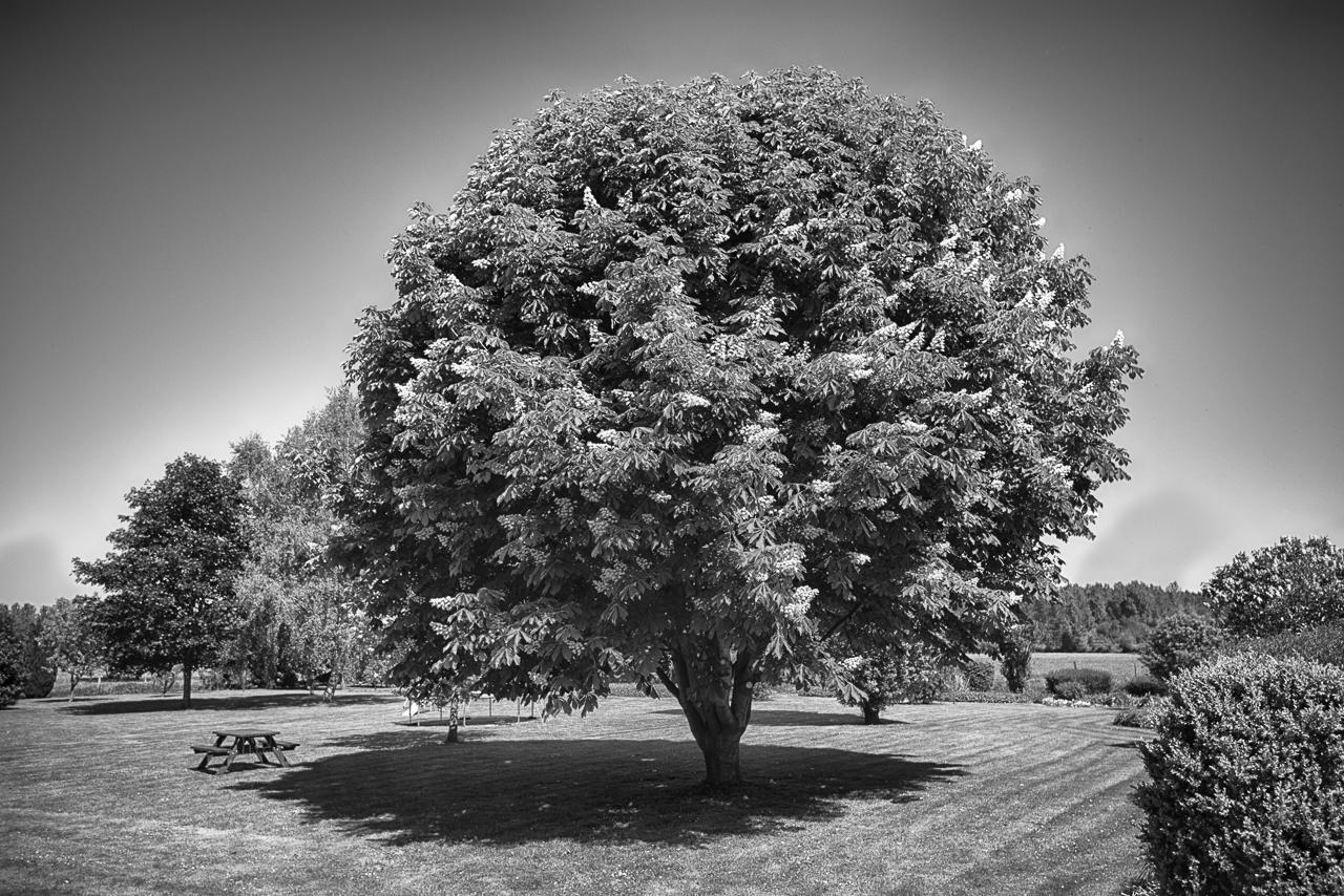 Au Jardin Fleuri Vila Vauxaillon Exterior foto